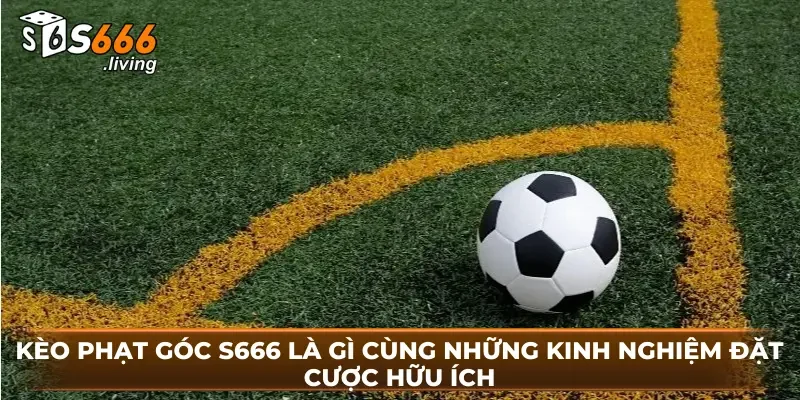 Kèo Phạt Góc S666 Là Gì Cùng Những Kinh Nghiệm Đặt Cược Hữu Ích 2 Kèo Phạt Góc S666 Là Gì Cùng Những Kinh Nghiệm Đặt Cược Hữu Ích