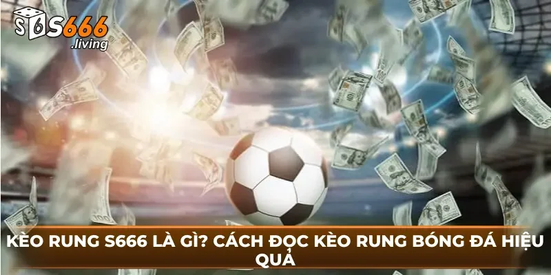 Kèo Rung S666 Là Gì? Cách Đọc Kèo Rung Bóng Đá Hiệu Quả 1 Kèo Rung S666 Là Gì? Cách Đọc Kèo Rung Bóng Đá Hiệu Quả