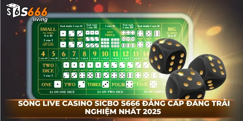 Sòng Live Casino Sicbo S666 Đẳng Cấp Đáng Trải Nghiệm Nhất 2025 1 Sòng Live Casino Sicbo S666 Đẳng Cấp Đáng Trải Nghiệm Nhất 2025